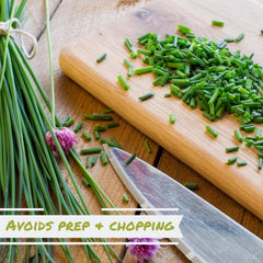 Chives, Dried - It's Delish (photo 3)