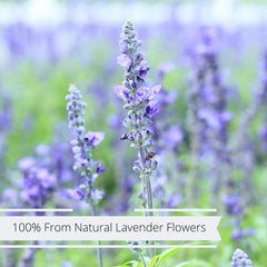 Dried Lavender Flowers Herb Buds — Jumbo Container - It's Delish (photo 5)
