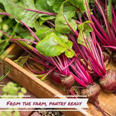 Dried Chopped Beets — Jumbo Jar - It's Delish (photo 5)